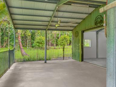 House For Sale - QLD - Daintree - 4873 - MORE THAN MEETS THE EYE... (Image 2)