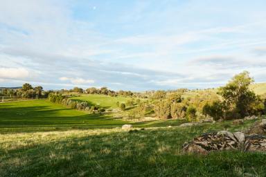 Lifestyle For Sale - VIC - Sheans Creek - 3666 - Fernhills  (Image 2)