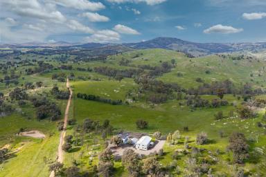 Lifestyle For Sale - VIC - Sheans Creek - 3666 - Fernhills  (Image 2)