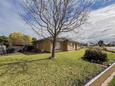 House For Lease - VIC - Swan Hill - 3585 - Spacious Family Living  (Image 2)