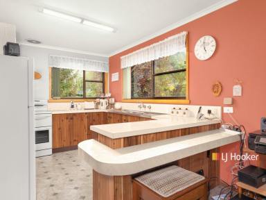 House For Sale - TAS - Spreyton - 7310 - Perfect Starter or Investment  (Image 2)