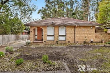 House For Sale - VIC - Cranbourne - 3977 - Renovated Family Home with Dual Occupancy Potential (STCA) on a Huge 663m² (Approx.) Allotment!  (Image 2)