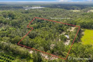 Acreage/Semi-rural Auction - QLD - Kia Ora - 4570 - Calling All Renovators!  (Image 2)