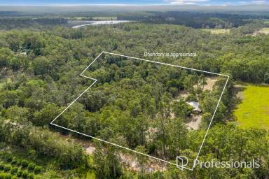 Acreage/Semi-rural Auction - QLD - Kia Ora - 4570 - Calling All Renovators!  (Image 2)