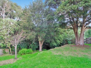 House For Sale - VIC - Bairnsdale - 3875 - NORTH-FACING GEM WITH A GARDEN OASIS  (Image 2)