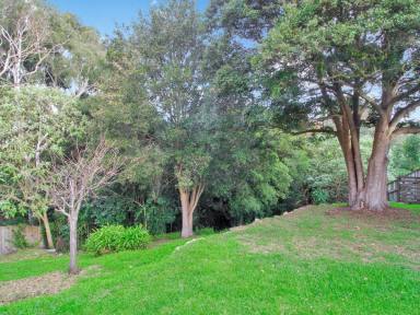 House For Sale - VIC - Bairnsdale - 3875 - NORTH-FACING GEM WITH A GARDEN OASIS  (Image 2)