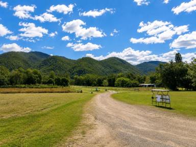 Acreage/Semi-rural For Sale - QLD - Mount Surround - 4809 - Rainforest Paradise with Two Homes, Premium Solar Infrastructure & Unlimited Lifestyle Potential  (Image 2)
