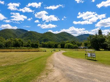 Acreage/Semi-rural Sold - QLD - Mount Surround - 4809 - Rainforest Paradise with Two Homes, Premium Solar Infrastructure & Unlimited Lifestyle Potential  (Image 2)