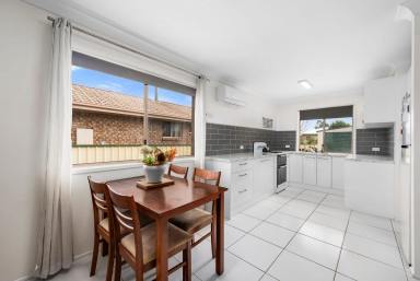 House For Sale - QLD - Clifton - 4361 - Neat, Low-Maintenance Living with Excellent Shed  (Image 2)