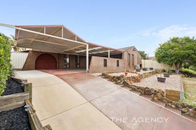 House For Sale - WA - Padbury - 6025 - Gorgeous on Groyder! (Image 2)