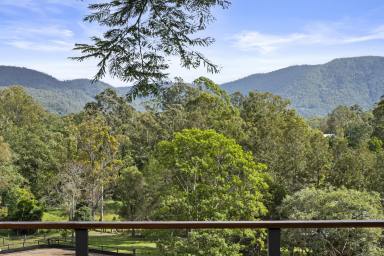 House For Sale - QLD - Wights Mountain - 4520 - The Complete Lifestyle Package for Families & Horse Lovers!  (Image 2)