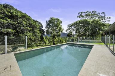 House For Sale - QLD - Wights Mountain - 4520 - The Complete Lifestyle Package for Families & Horse Lovers!  (Image 2)