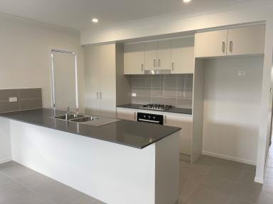 House For Lease - NSW - Cliftleigh - 2321 - Beautiful Family Home!  (Image 2)