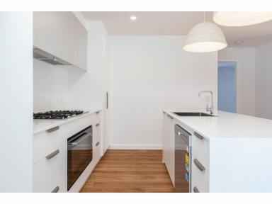 House For Lease - NSW - Tallwoods Village - 2430 - Modern 3 bedroom 2 bathroom Home  (Image 2)