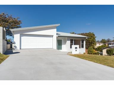 House For Lease - NSW - Tallwoods Village - 2430 - Modern 3 bedroom 2 bathroom Home  (Image 2)