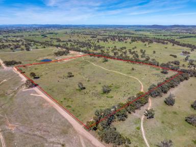Residential Block For Sale - NSW - Goulburn - 2580 - Affordable Land Opportunity in a Growing Location  (Image 2)