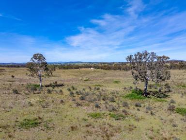 Residential Block For Sale - NSW - Goulburn - 2580 - Affordable Land Opportunity in a Growing Location  (Image 2)