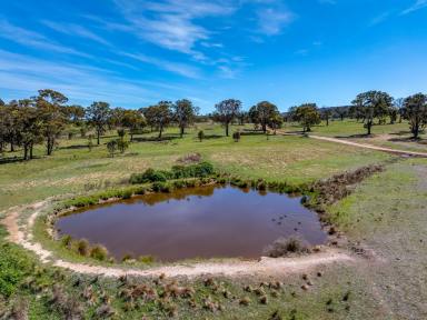 Residential Block For Sale - NSW - Goulburn - 2580 - C3 Environmental Management zoning opportunity to secure an affordable parcel of land in a growing area on the edge of town (Image 2)