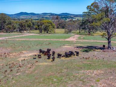 Residential Block For Sale - NSW - Goulburn - 2580 - C3 Environmental Management zoning opportunity to secure an affordable parcel of land in a growing area on the edge of town (Image 2)