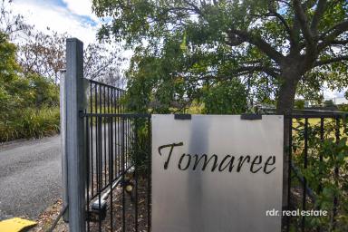 Acreage/Semi-rural For Sale - NSW - Inverell - 2360 - COME HOME TO 'TOMAREE'  (Image 2)
