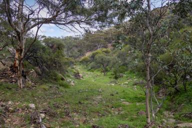 Other (Rural) For Sale - SA - Quorn - 5433 - 'The Block'  (Image 2)