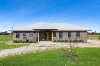 House For Sale - VIC - Gunbower - 3566 - Supreme rural lifestyle  (Image 2)
