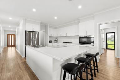 House For Sale - VIC - Gunbower - 3566 - Supreme rural lifestyle  (Image 2)