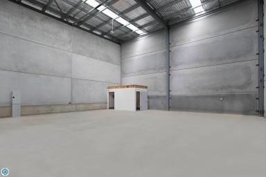 Showrooms/Bulky Goods Leased - NSW - Berkeley - 2506 - 204m2 WAREHOUSE - BRAND NEW  (Image 2)