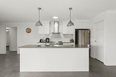 House For Sale - QLD - Torrington - 4350 - Spacious Family Living with a Huge Shed on 744m² (Image 2)