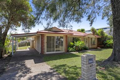 House For Sale - QLD - Darling Heights - 4350 - Family Focus, Outdoor Entertaining & Versatile Accommodation  (Image 2)