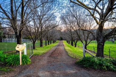 Other (Residential) For Sale - NSW - Yass - 2582 - A Sanctuary of Modern Elegance with Unlimited Water Supply  (Image 2)