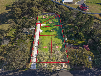 Residential Block For Sale - NSW - Mittagong - 2575 - Boutique Land Release – Just Minutes From Mittagong (Image 2)