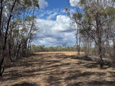 Lifestyle For Sale - QLD - Coolmunda - 4387 - Rare Elevated Bush Block with Stunning Coolmunda Dam Views  (Image 2)