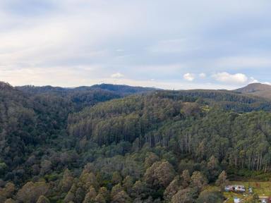 Residential Block For Sale - TAS - Loyetea - 7316 - Private Rural Bush Retreat  (Image 2)