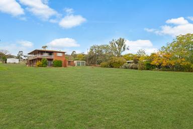 House Sold - QLD - Kingsthorpe - 4400 - SOLD - OFF-MARKET  (Image 2)