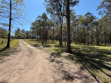 Lifestyle For Sale - QLD - Moomin - 4887 - A Peaceful 147 Acre Rural Escape  (Image 2)