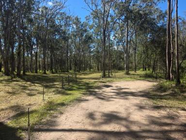 Lifestyle For Sale - QLD - Moomin - 4887 - A Peaceful 147 Acre Rural Escape  (Image 2)