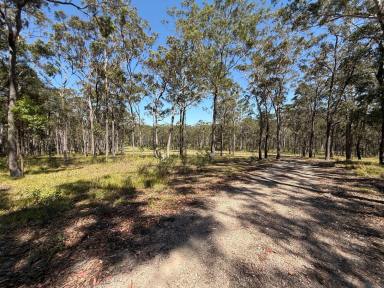 Lifestyle For Sale - QLD - Moomin - 4887 - A Peaceful 147 Acre Rural Escape  (Image 2)