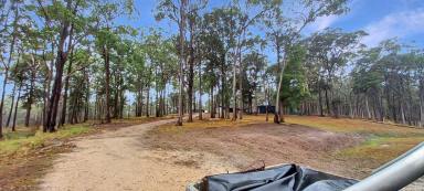 Lifestyle For Sale - QLD - Moomin - 4887 - A Peaceful 147 Acre Rural Escape  (Image 2)