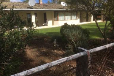 Lifestyle Sold - WA - York - 6302 - First Time Offered in Twenty Years  (Image 2)