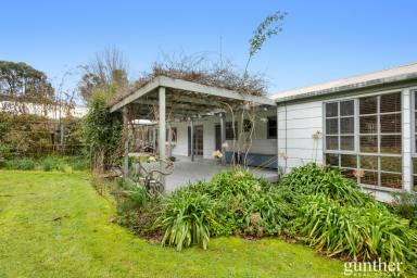 House For Sale - VIC - Chum Creek - 3777 - Exceptional Family Home on Almost Half an Acre  (Image 2)