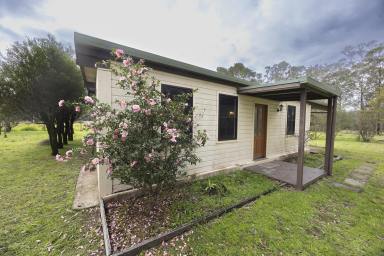 Acreage/Semi-rural For Sale - NSW - Wang Wauk - 2423 - Peaceful Rural Lifestyle on 18 Acres  (Image 2)