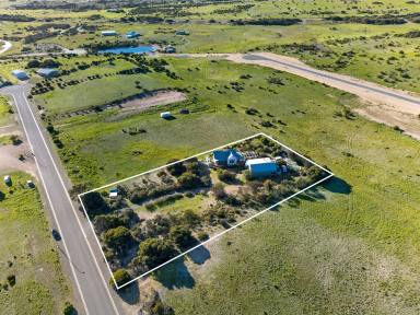 House For Sale - SA - Marion Bay - 5575 - A Rare Coastal Sanctuary - Sustainable Living, Lifestyle & Income Opportunity  (Image 2)