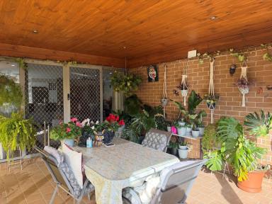 House For Sale - NSW - Inverell - 2360 - Luxury Living - Family home  (Image 2)