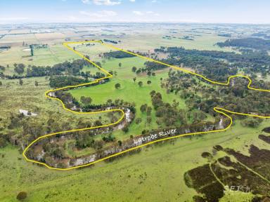 Mixed Farming For Sale - VIC - Kilmany - 3851 - Productive, well set up opportunity presents!  (Image 2)