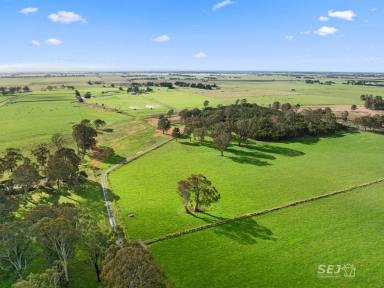 Mixed Farming For Sale - VIC - Kilmany - 3851 - Productive, well set up opportunity presents!  (Image 2)
