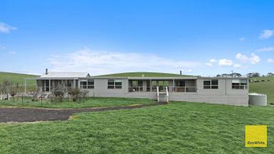 House For Sale - VIC - Fish Creek - 3959 - 5 Bedrooms on popular Harding-Lawson Rd  (Image 2)