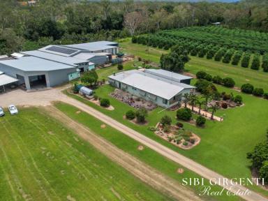 Horticulture For Sale - QLD - Biboohra - 4880 - A Rare Blend of Horticultural Excellence and Country Living (Image 2)