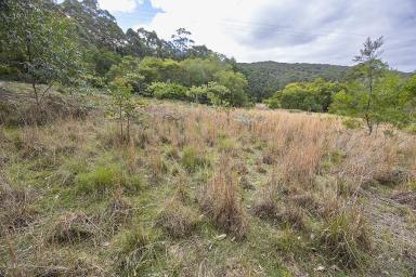 Residential Block For Sale - NSW - Coolongolook - 2423 - Bushland Escape  (Image 2)