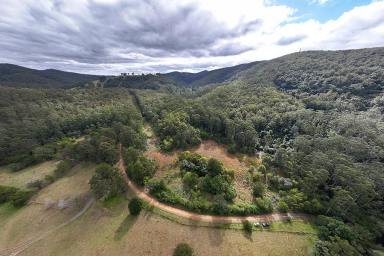 Residential Block For Sale - NSW - Coolongolook - 2423 - Bushland Escape  (Image 2)